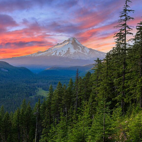 The Mt. Hood Collective Vintage Market - Picture 11 of 16